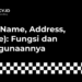 NAP (Name, Address, Phone) Fungsi dan Penggunaannya